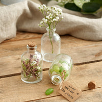 Rounded Mini Glass Bottles with Cork Lids