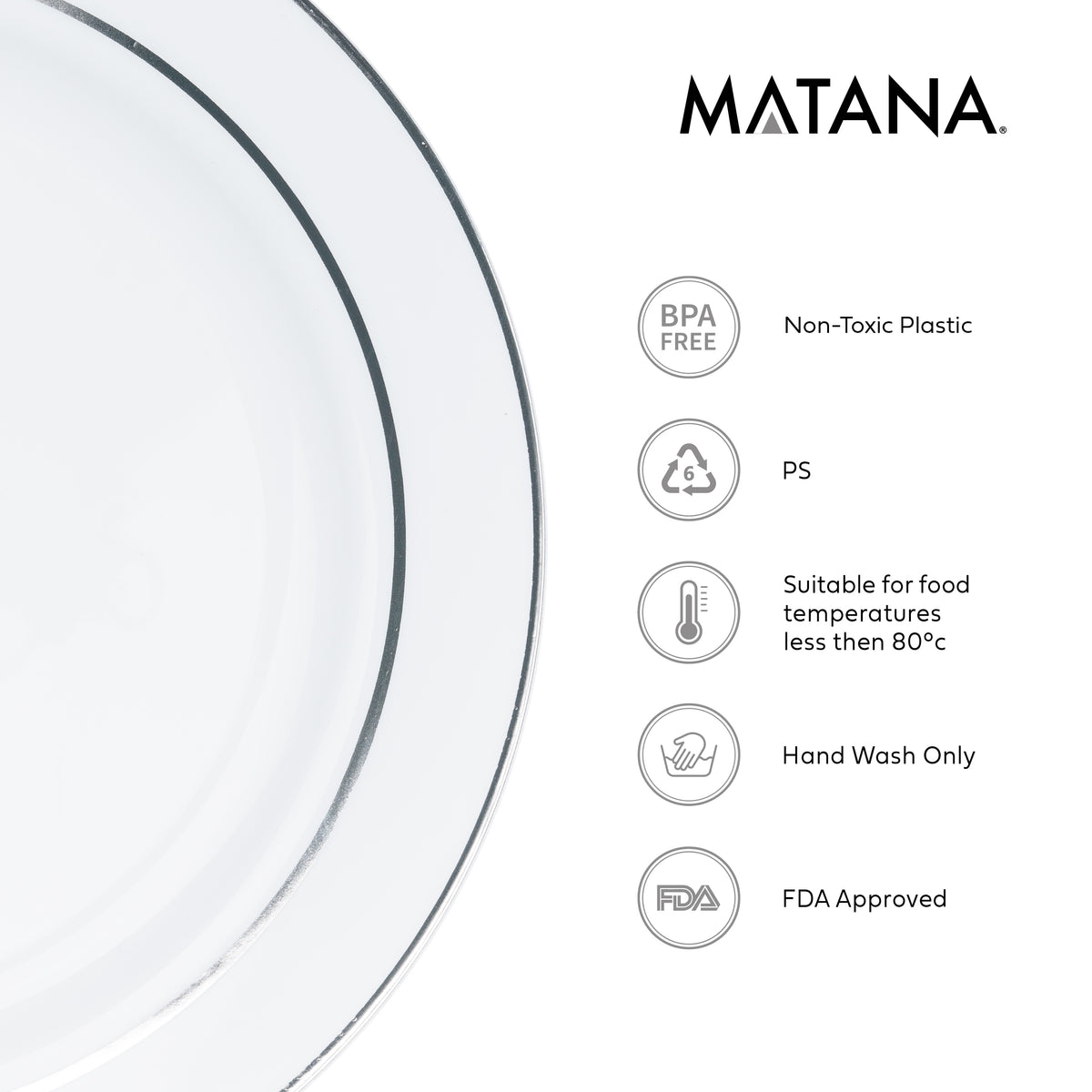 Reusable Silver Rimmed Plate Set