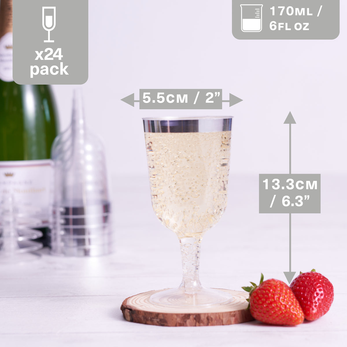 Plastic Wine Glasses with Silver Rim (170ml)