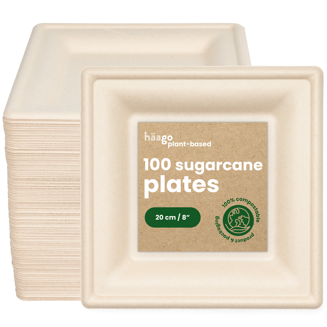 Square Sugarcane Dinner Plates - 20cm (8")