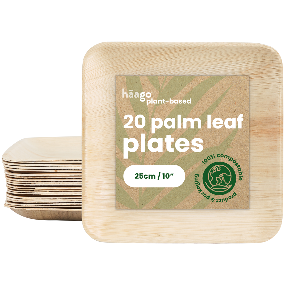 Square Palm Leaf Plates - 25cm (10")