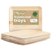 Large Palm Leaf Trays - 25x30cm (10x12")